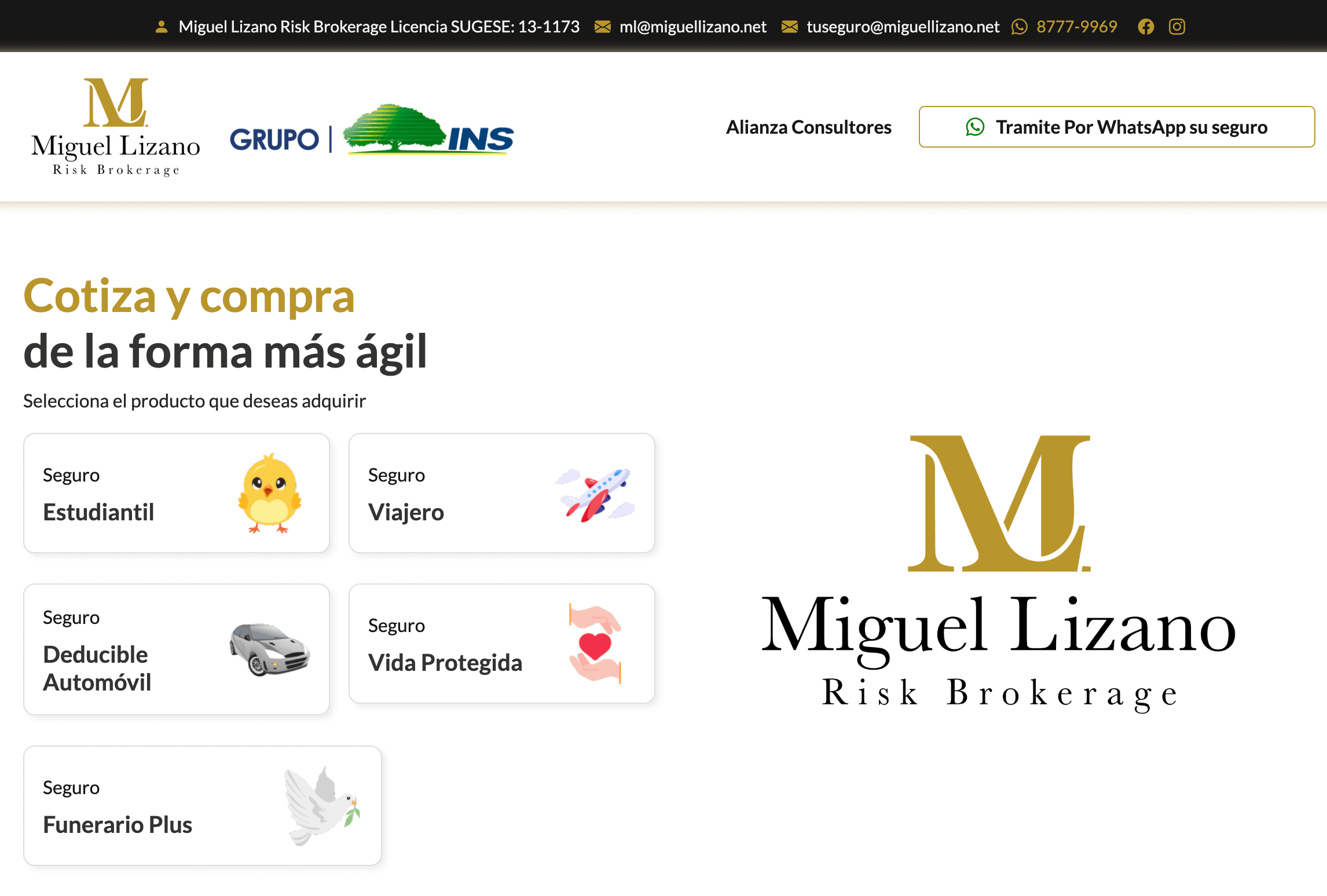Tienda Virtual Miguel Lizano